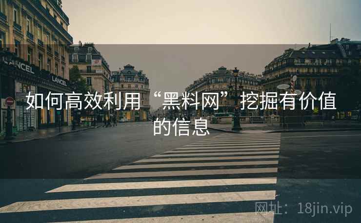如何高效利用“黑料网”挖掘有价值的信息