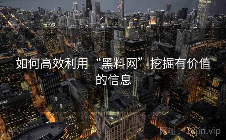 如何高效利用“黑料网”挖掘有价值的信息
