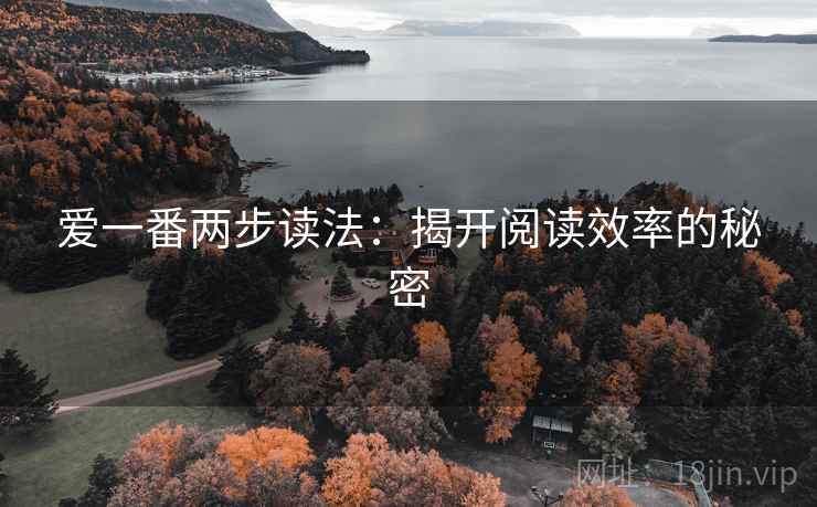 爱一番两步读法：揭开阅读效率的秘密